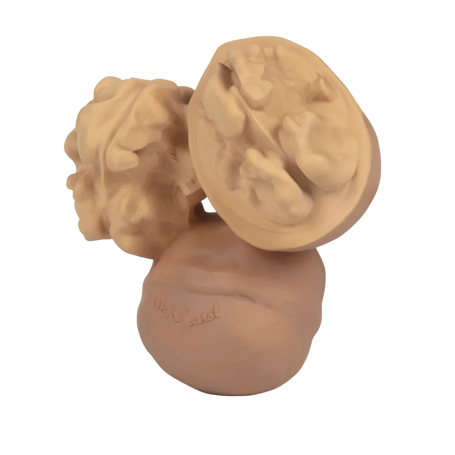 Beißring Nutty the Walnut  Oli Carol Babyspielzeug Badespielzeug Cotton Ballon