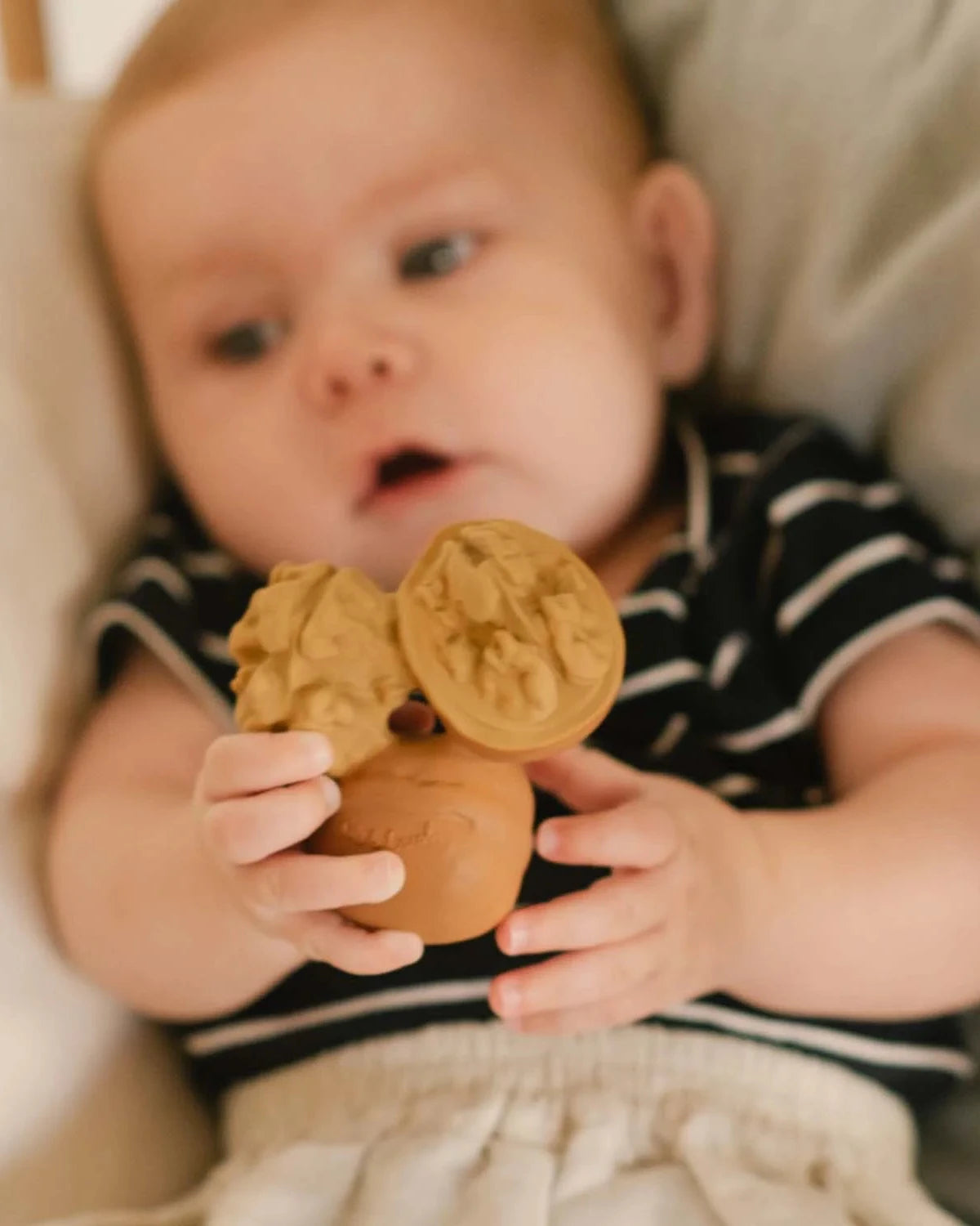 Beißring Nutty the Walnut  Oli Carol Babyspielzeug Badespielzeug Cotton Ballon